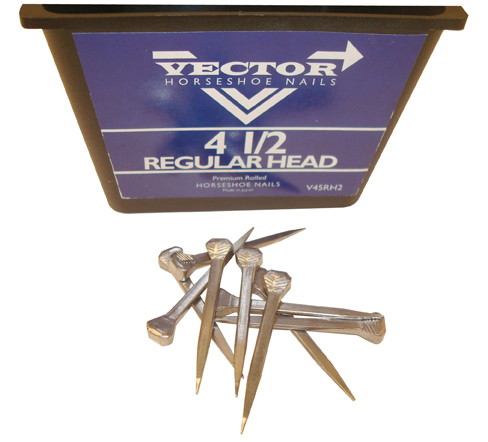 Vector Regular Nails